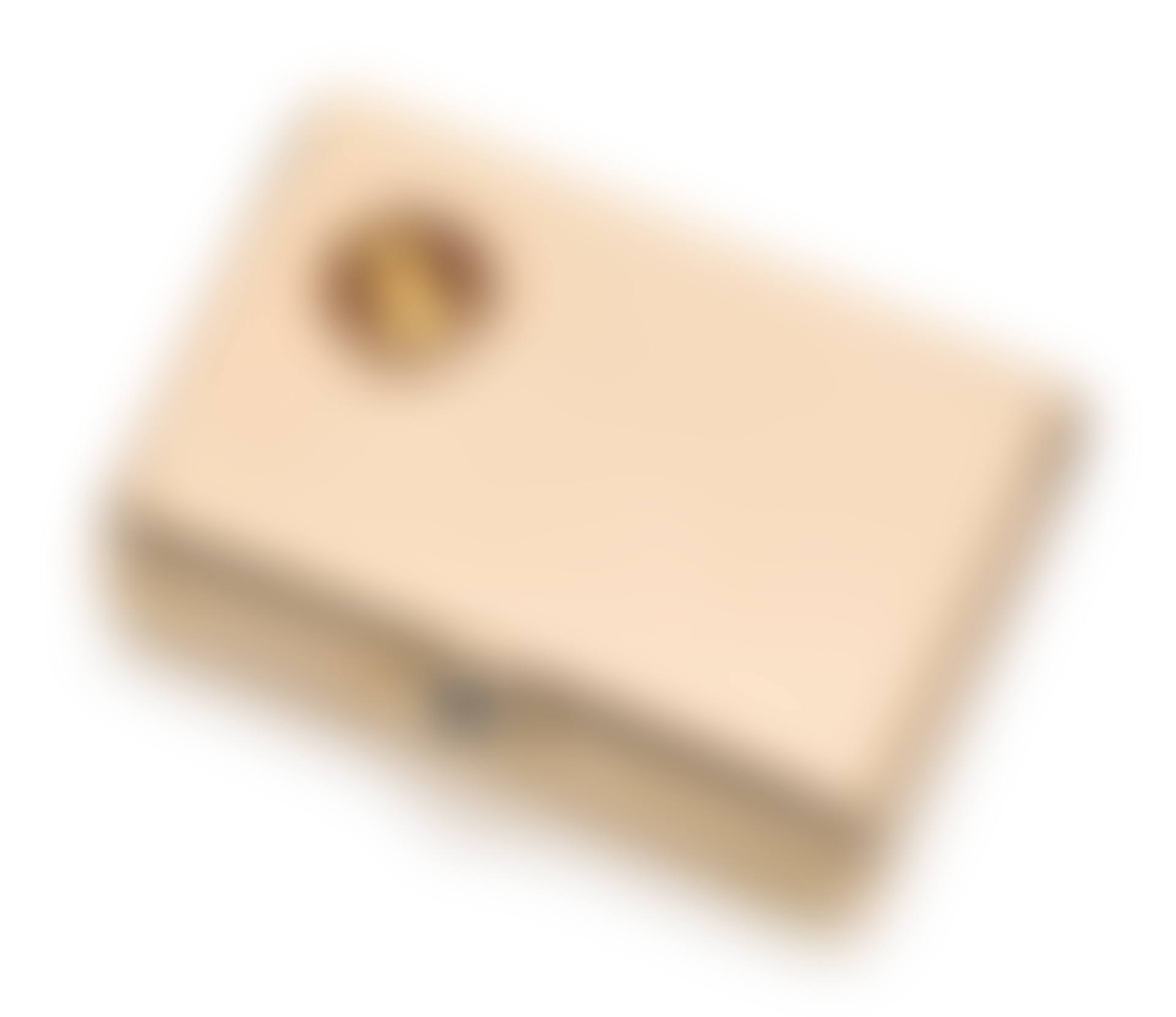 A cigarette case (preview)