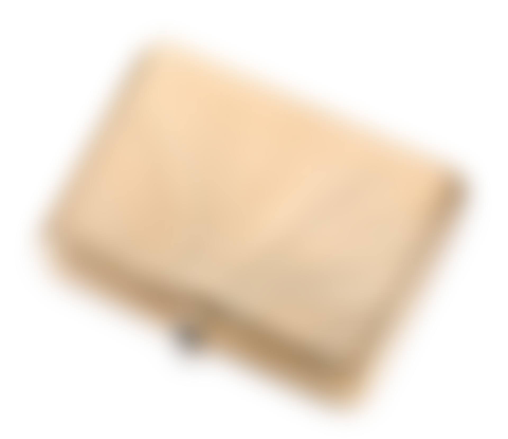 A cigarette case (preview)