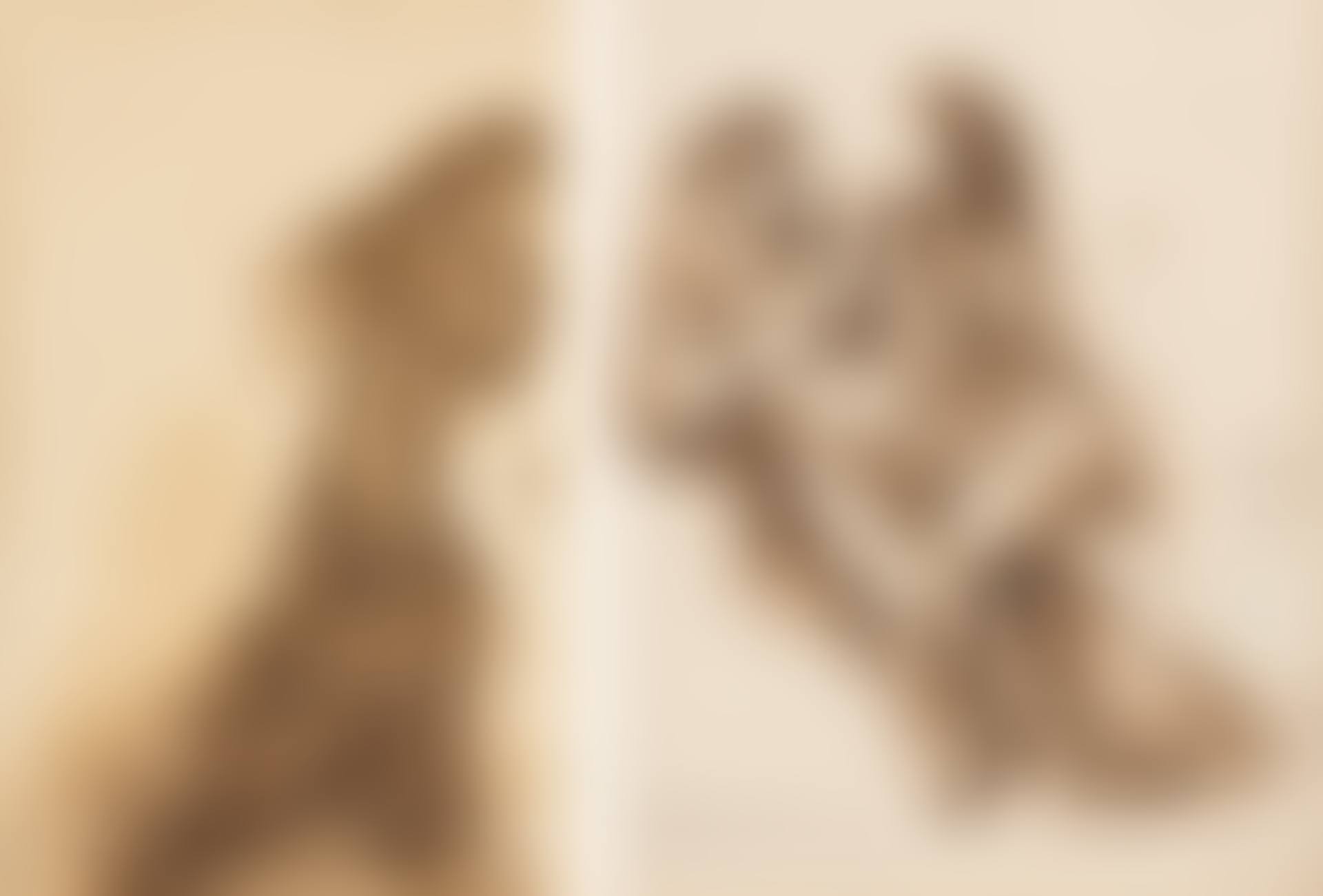 Costume Design for L'errante and Nude Couple (preview)