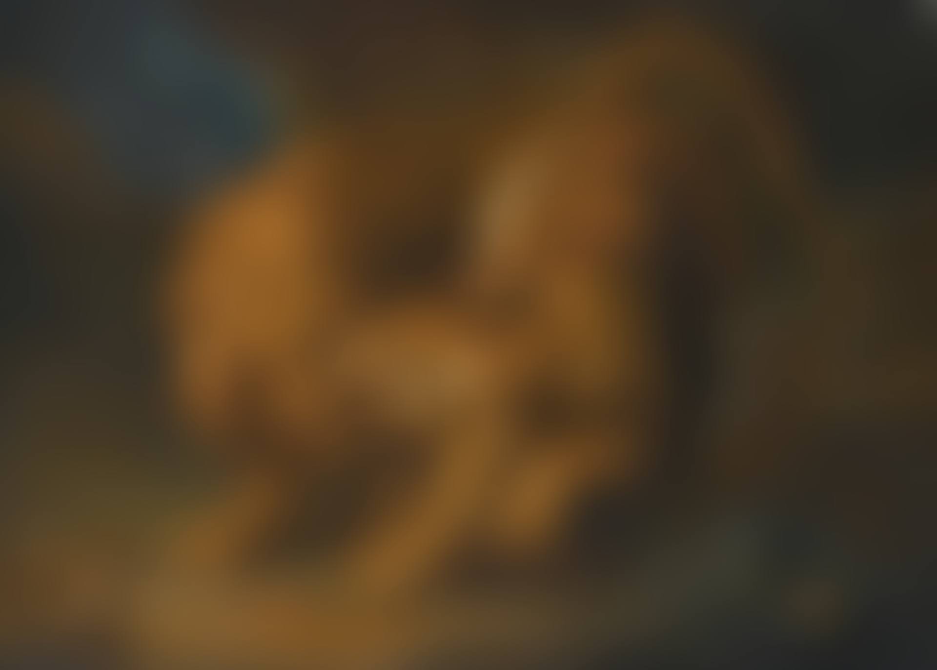 A lion and a tiger (preview)