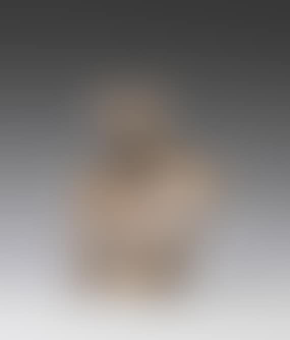 Torse (preview)