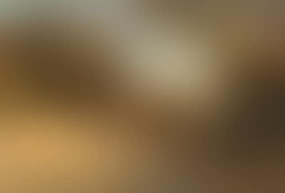 Nach der Feldarbeit (preview)