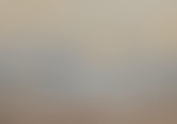Flacher Strand (Nordsee) (preview)