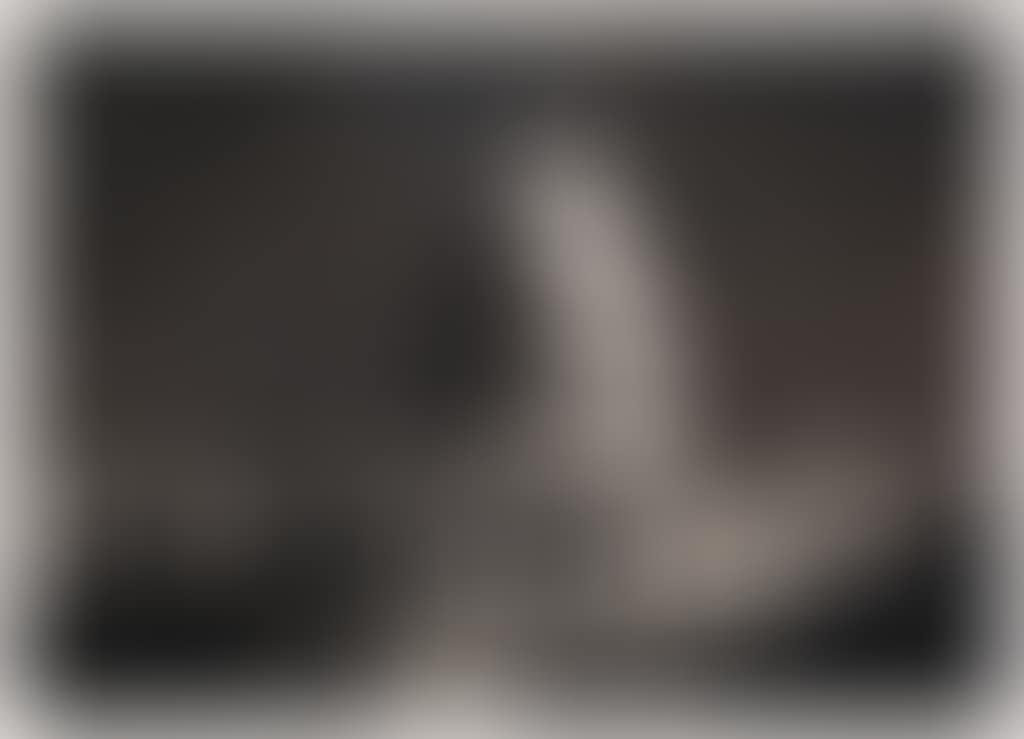 Study of the Capitol (preview)