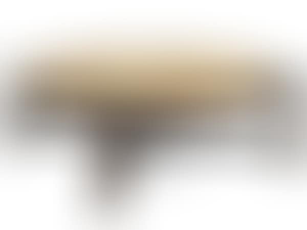 Table basse circulaire (preview)