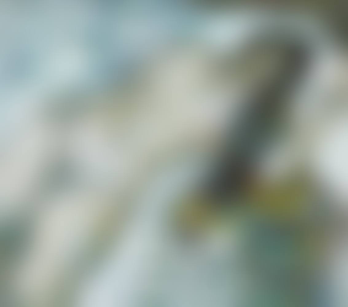 Female nude (preview)