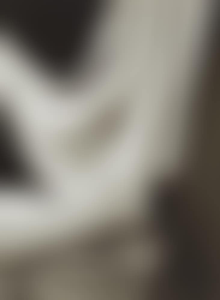R�ckenakt mit Vorhang, Paris (preview)