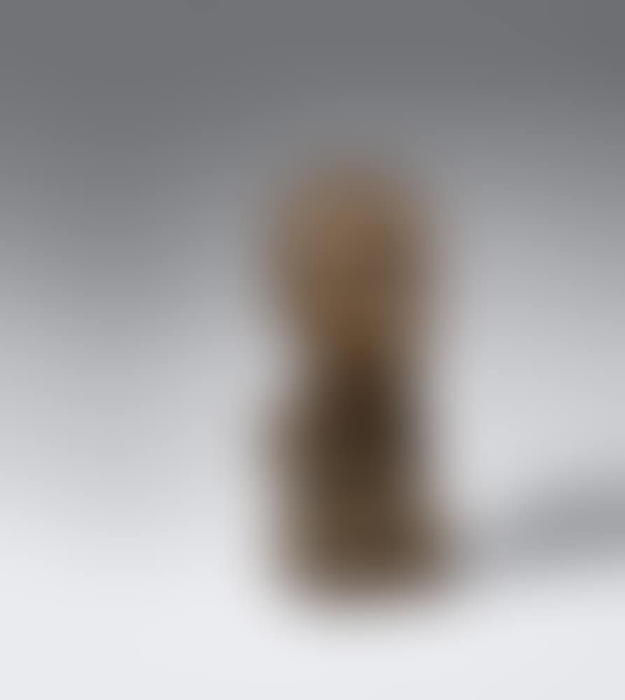 Junger Chinese (preview)