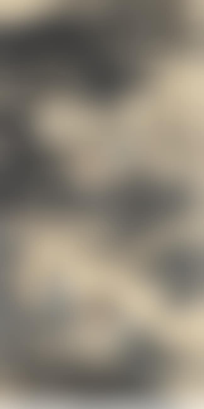 The Nine Elders of Xiangshan (preview)