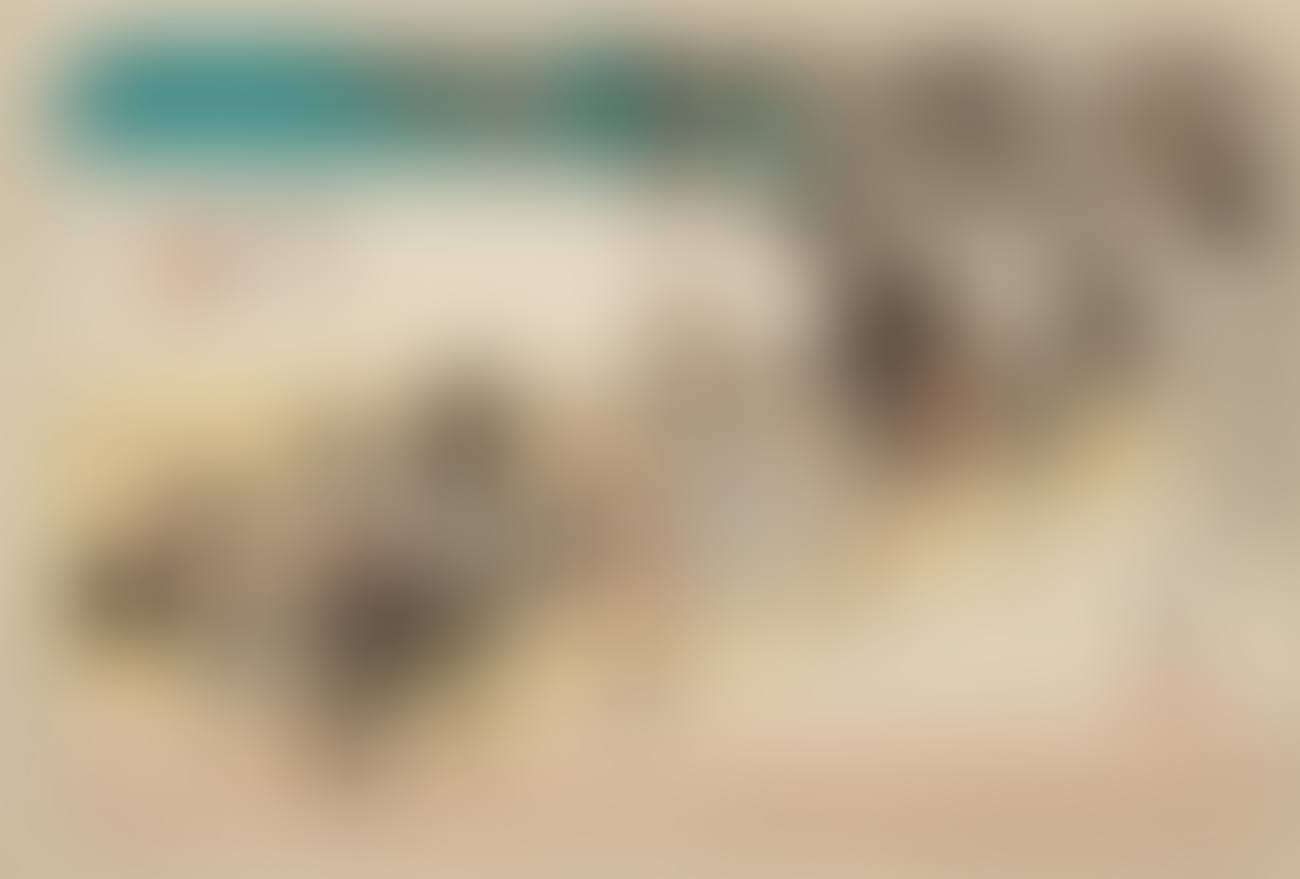 a) Fujieda, jinba tsugitate. Arriving procession. b) Three more stations: Kawasaki, second version (arriving ferry), Numazu (man with mask walking along the river) and Akasaka (scene in inn) (preview)