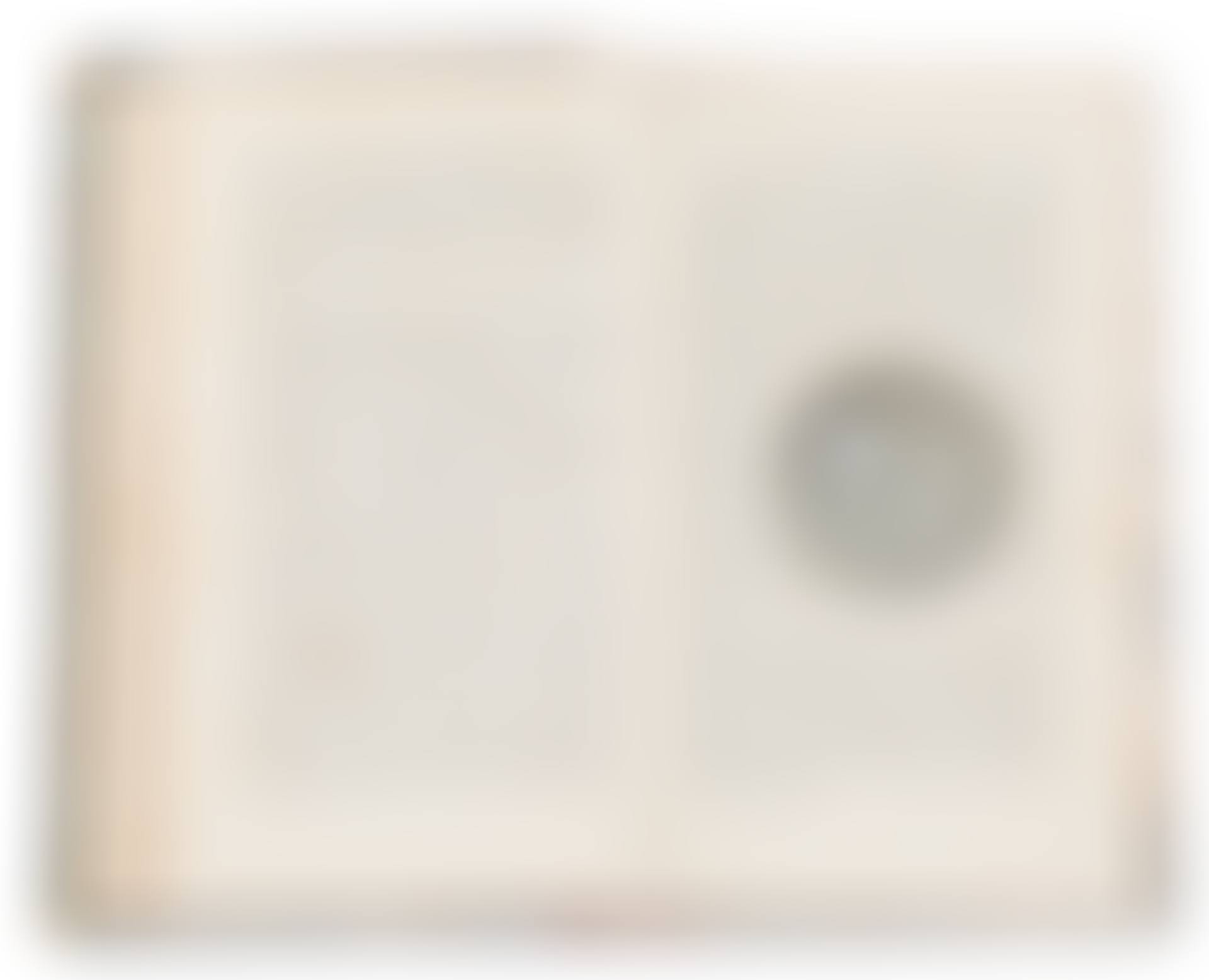 OBJECT (preview)