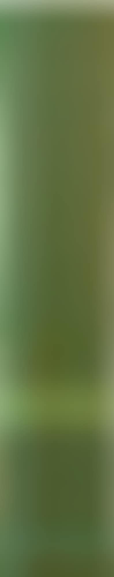LIGHT OF DEVON (preview)