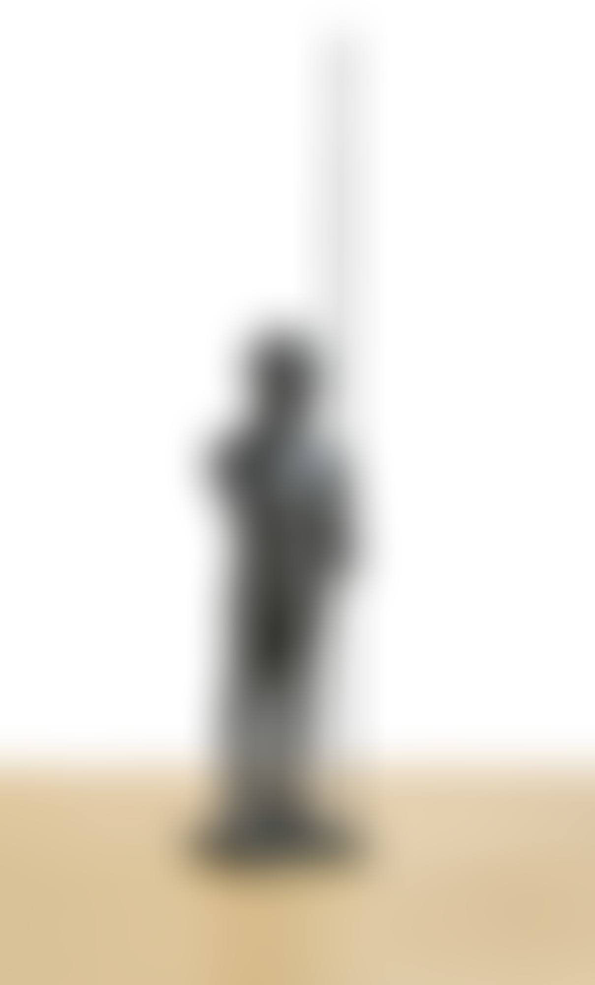 CONTEMPORARY TERRACOTTA WARRIOR SERIES NO. 6 (preview)