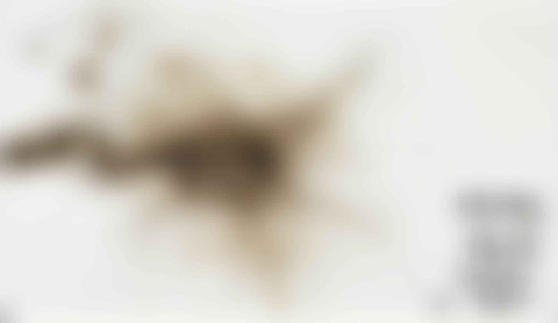 Love Of Universe (preview)