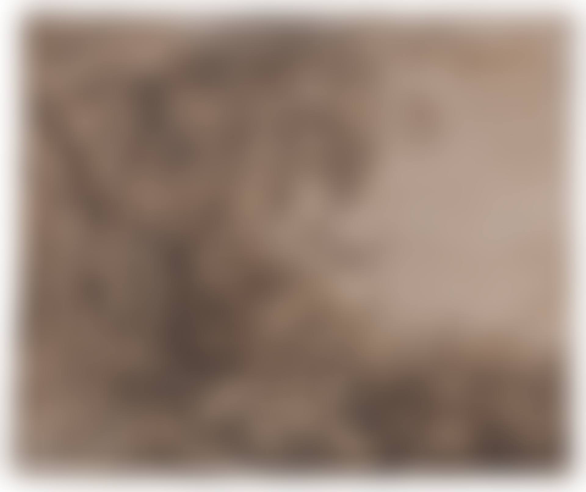 A WOODED LANDSCAPE WITH RUSHES (preview)