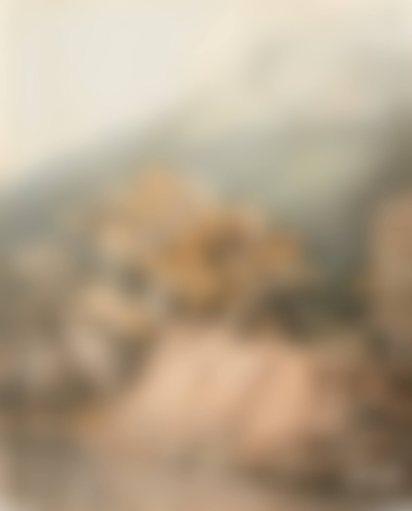 THE COPPER MINES ON THE DART FROM HOLNE CHASE (preview)