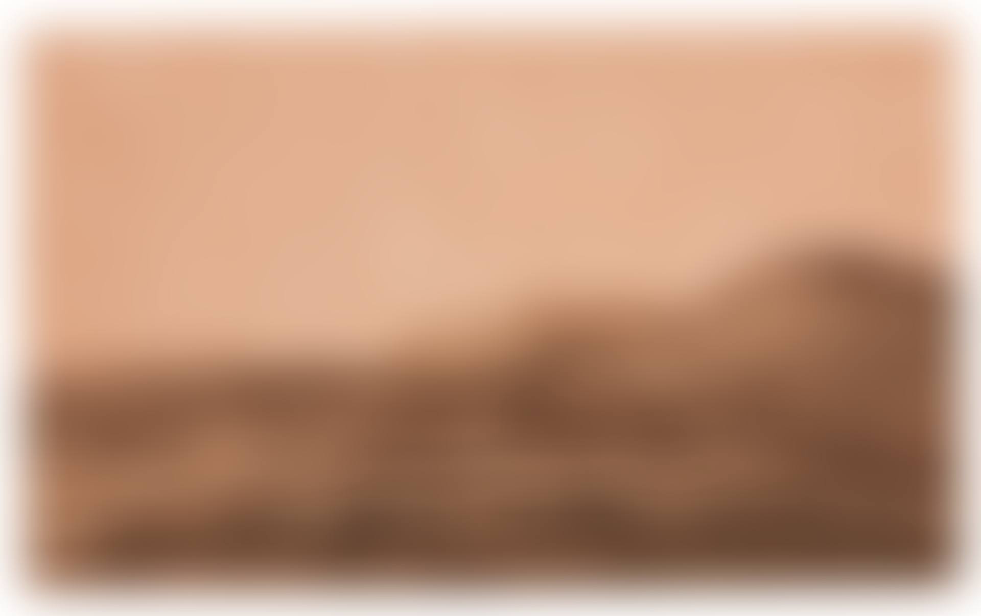 RECTO: PANORAMIC LANDSCAPE IN THE ROMAN CAMPAGNA; VERSO: STUDY OF A TREE (preview)