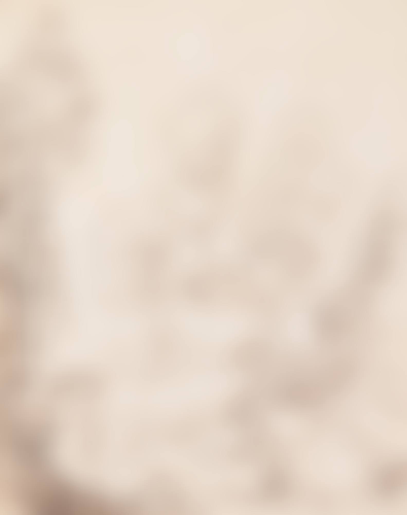 AN ITALIANATE LANDSCAPE (preview)