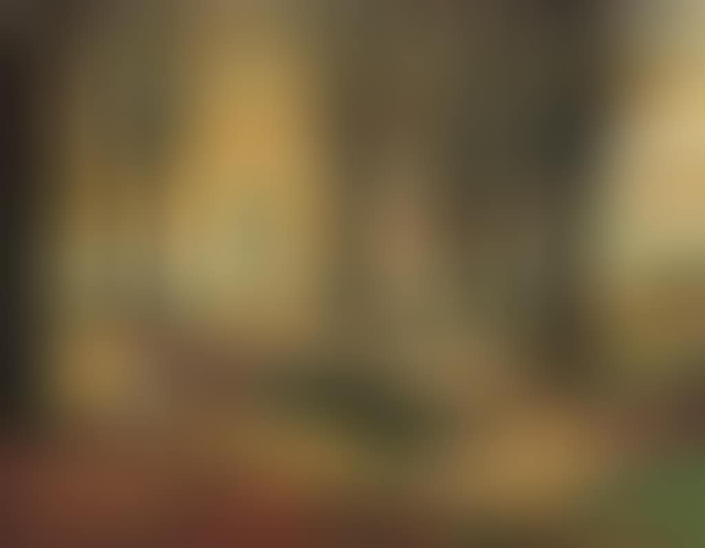 Beechwood (preview)
