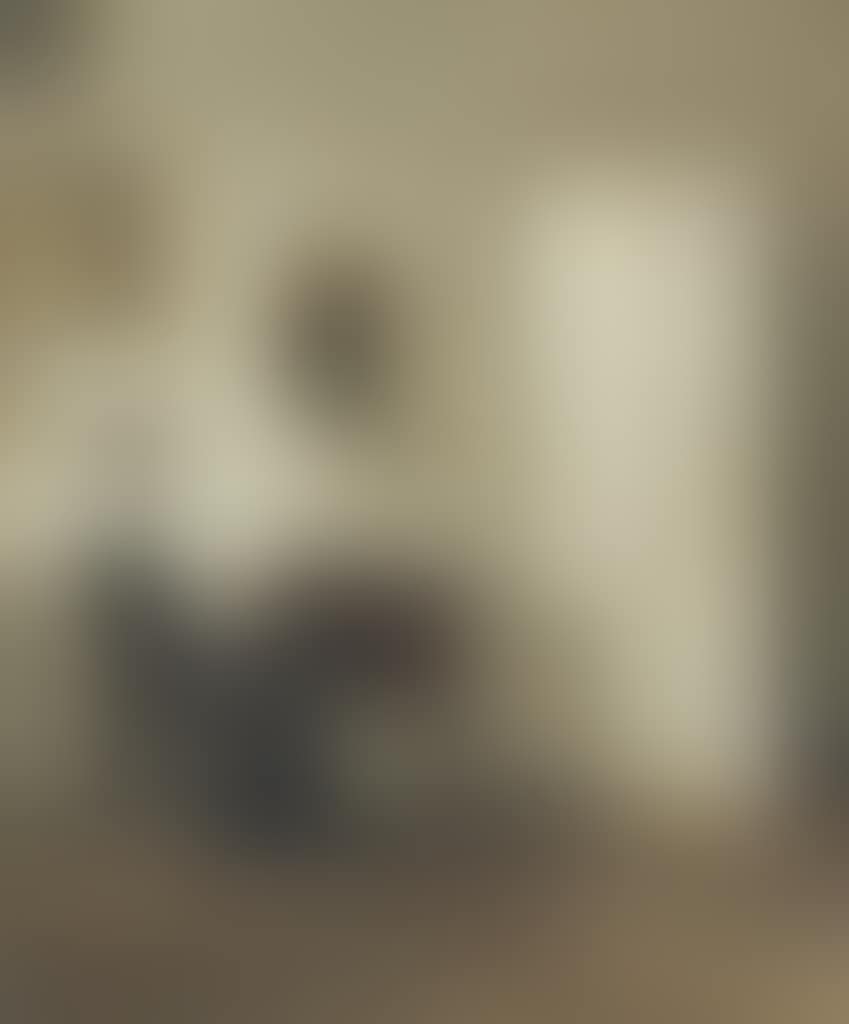 Lady reading in an Interior (preview)