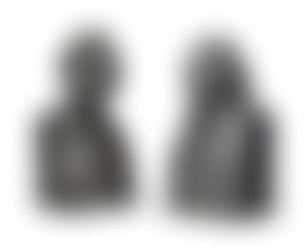 A Pair of George IV Busts of John Flaxman and Sir Walter Scott (preview)