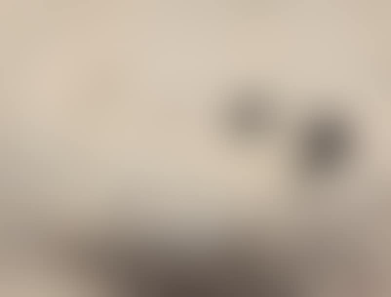 Hí©rons (preview)