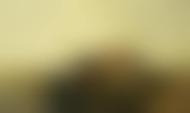 Cows in a landscape (preview)