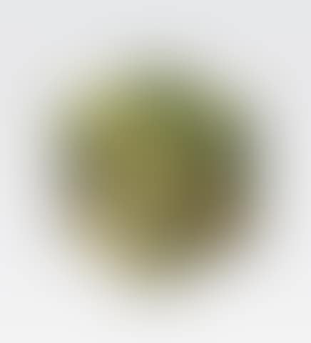 Watteau's Tale, 2003 (preview)