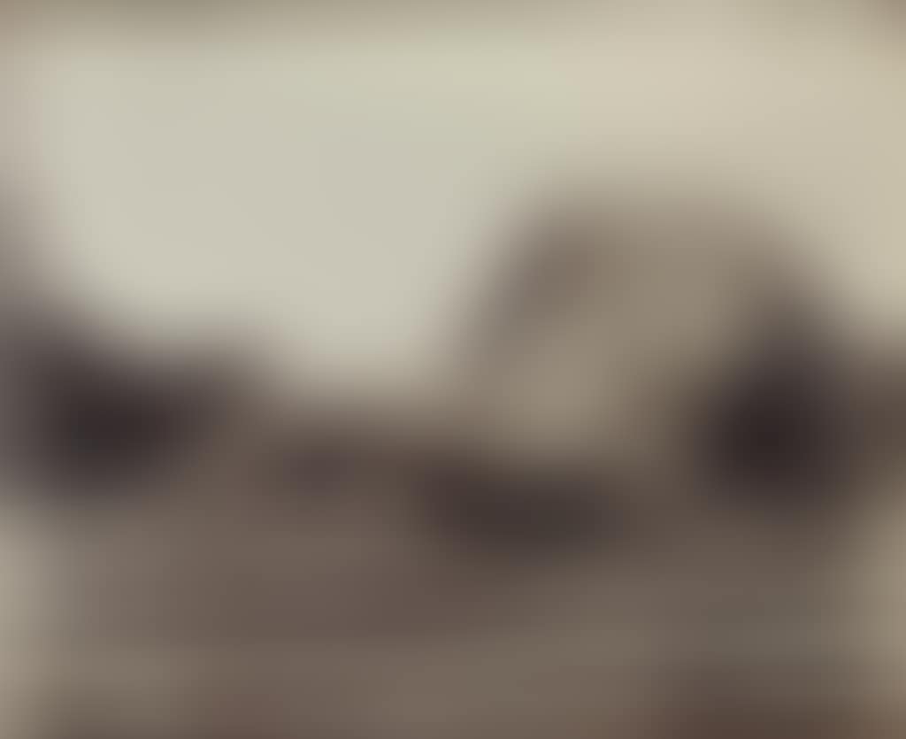 Versailles, 1923 (preview)