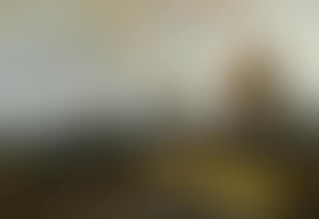 An extensive landscape with a path (preview)