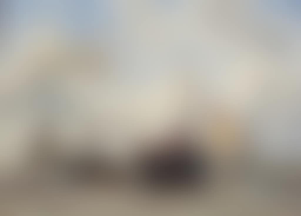 Activities on the beach (preview)