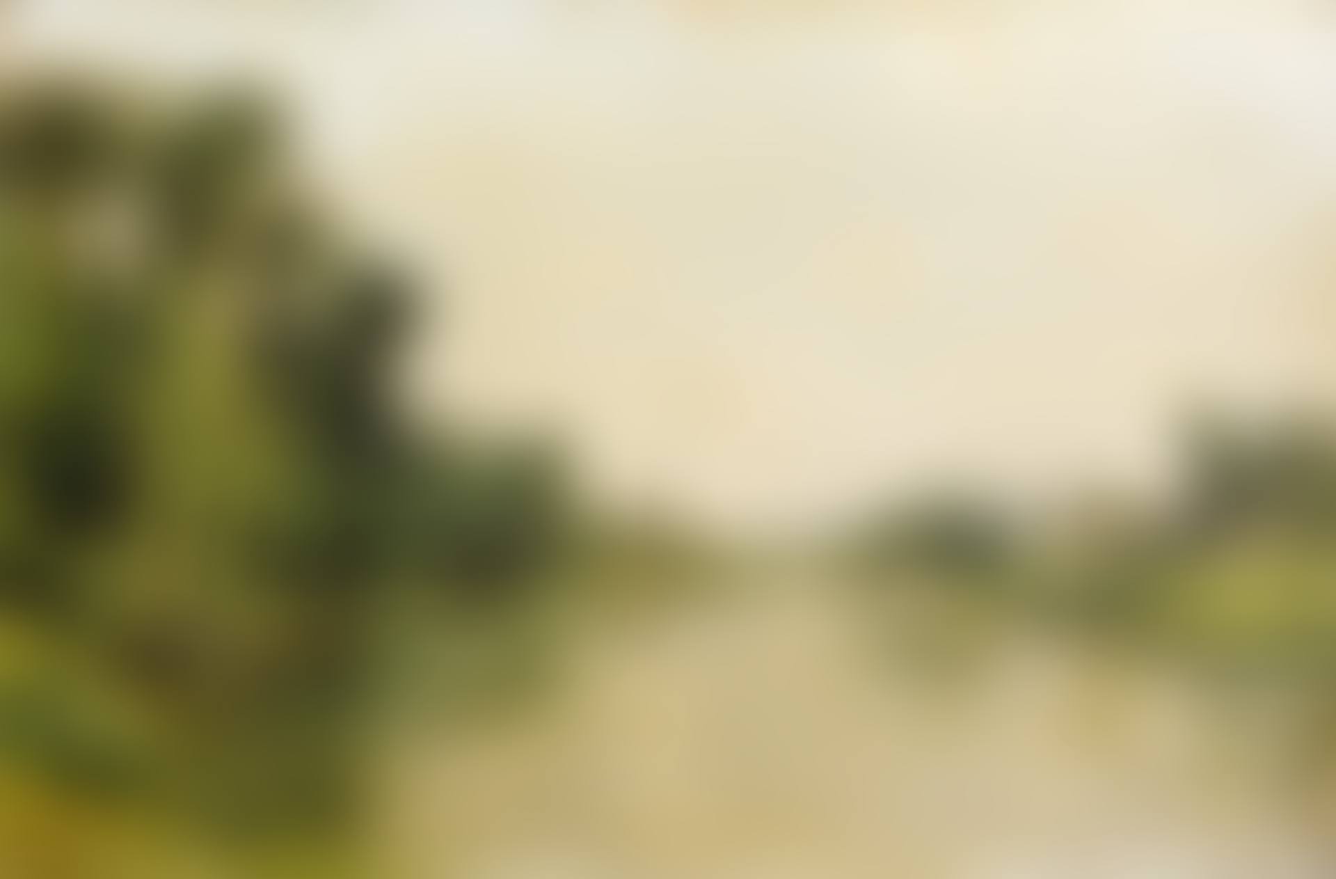 THE MARNE BETWEEN CRÉTEIL AND SAINT-MAUR, THE FISHERMAN (preview)