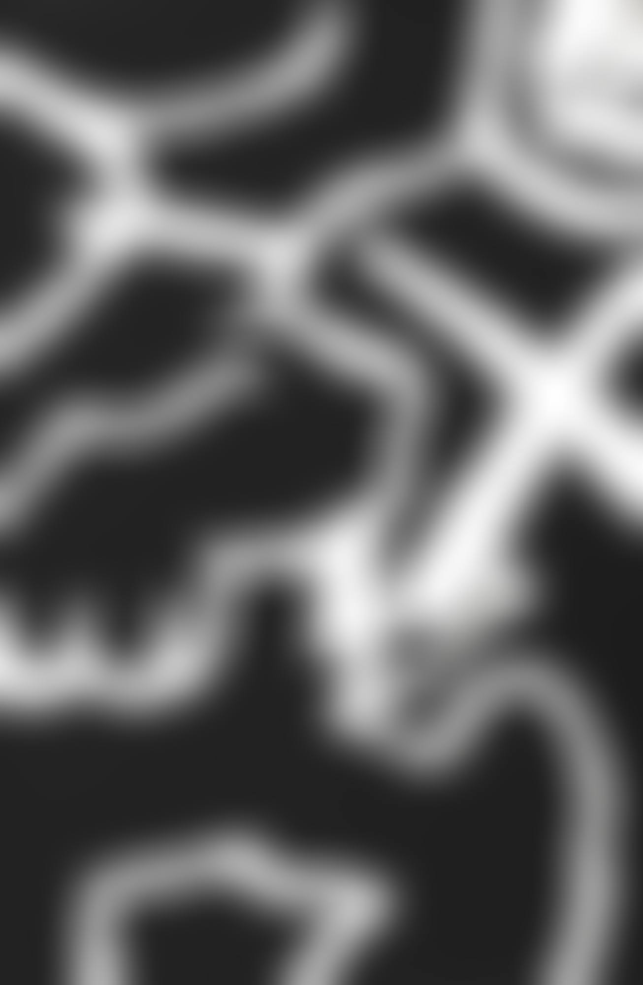 UNTITLED (BLACK & WHITE) (preview)