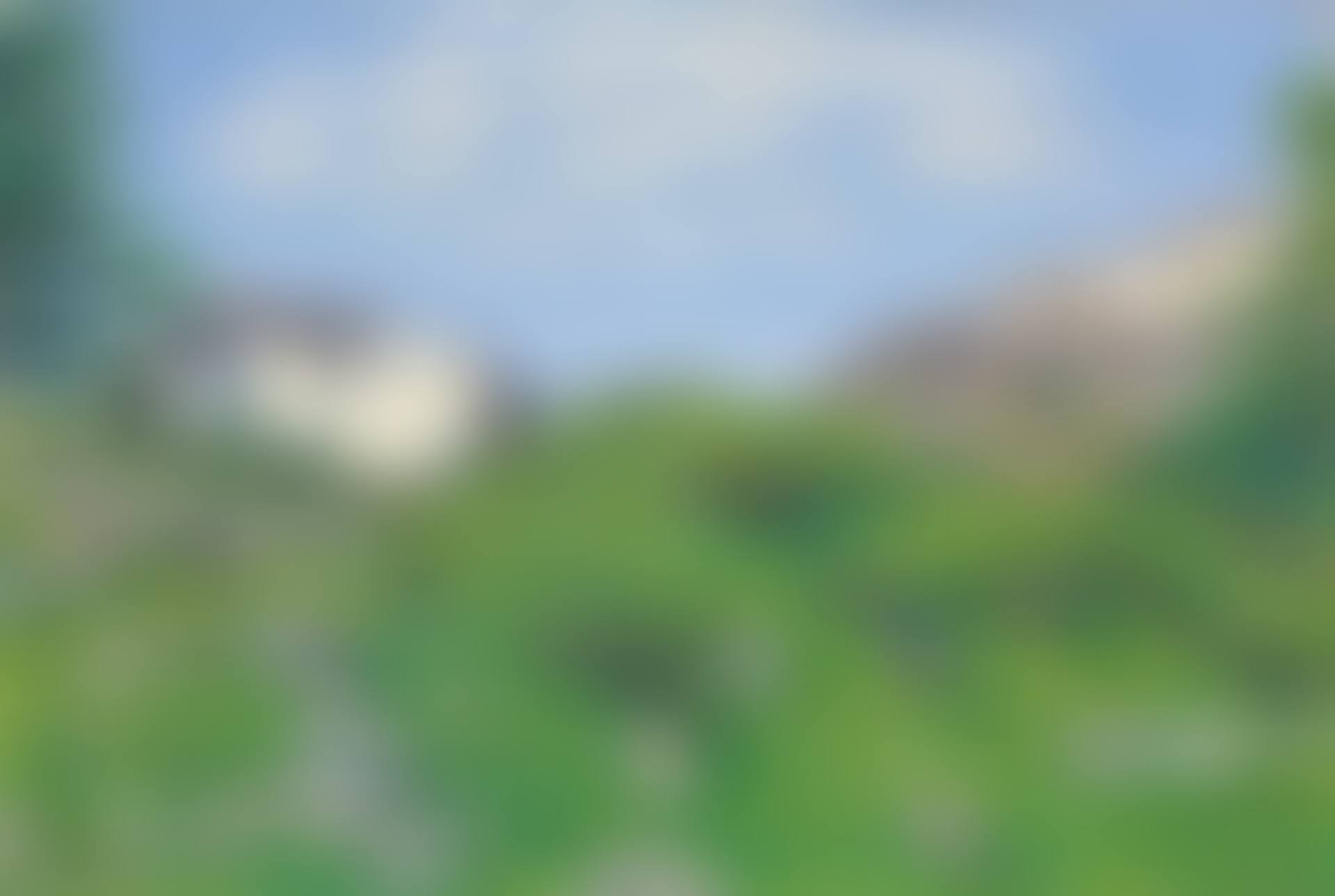 JULILANDSCHAFT (preview)