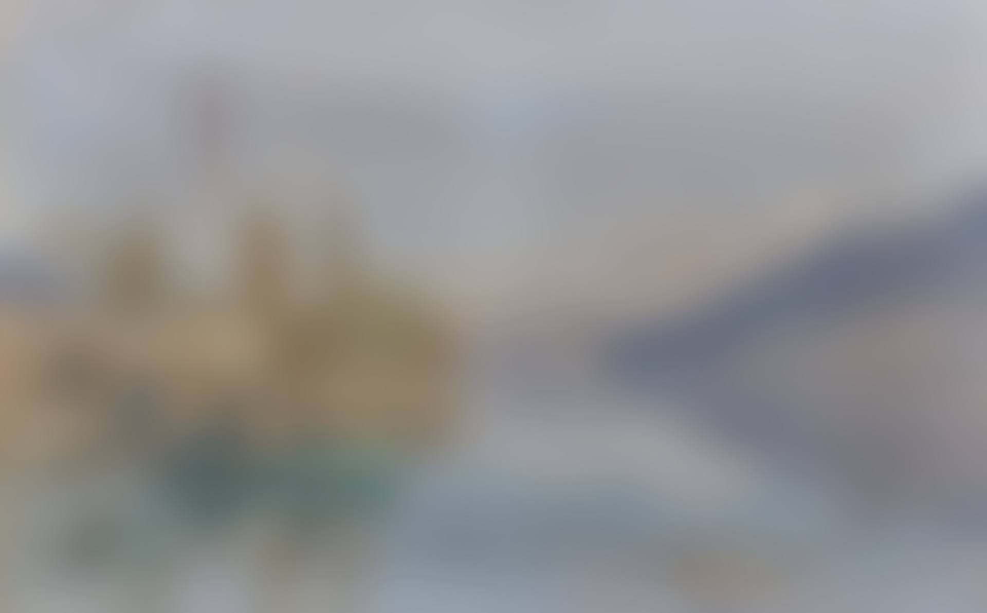 ANIMATION AUX QUAIS DE VEVEY (preview)