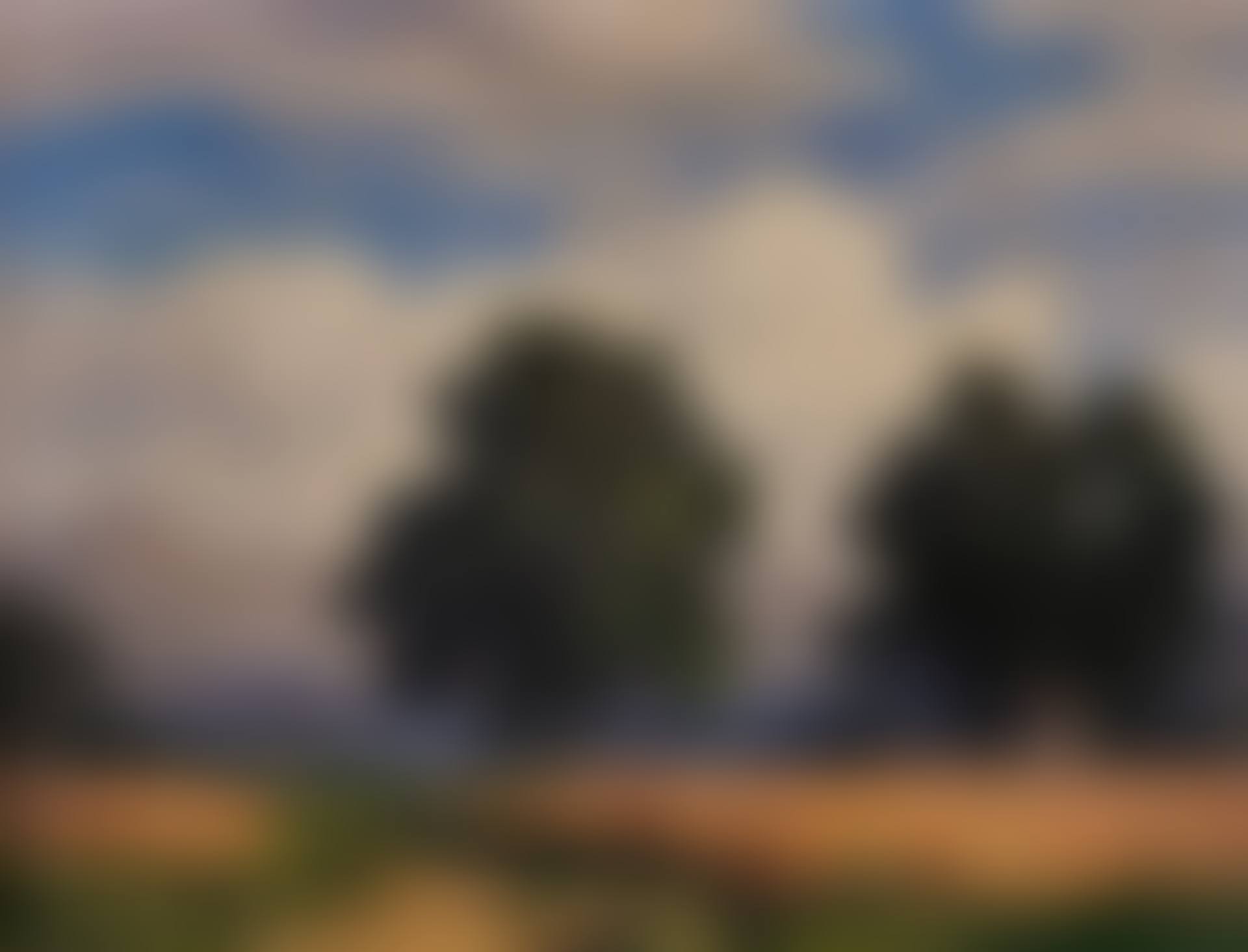 KLEINE LANDSCHAFT MIT KORNFELD UND EICHEN (preview)