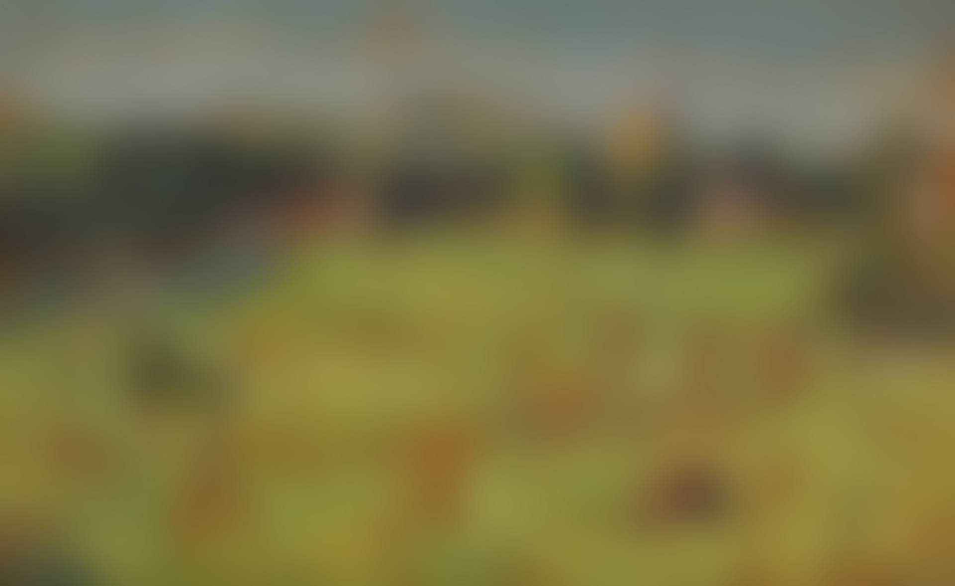CHAGFORD ACROSS THE FIELDS (preview)
