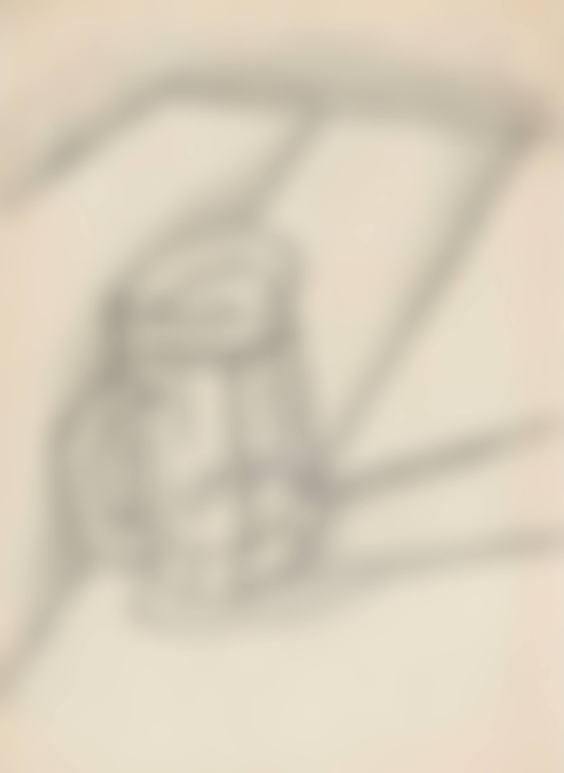 Bock de bière (preview)