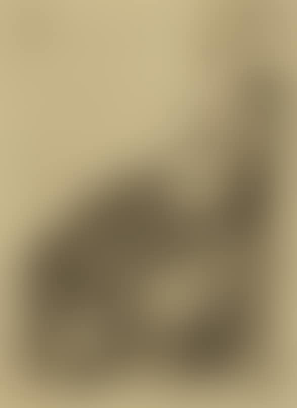 Portrait of woman (preview)