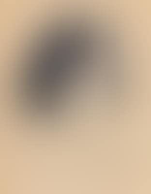 Jimmy (portrait of a Pekingese) (preview)