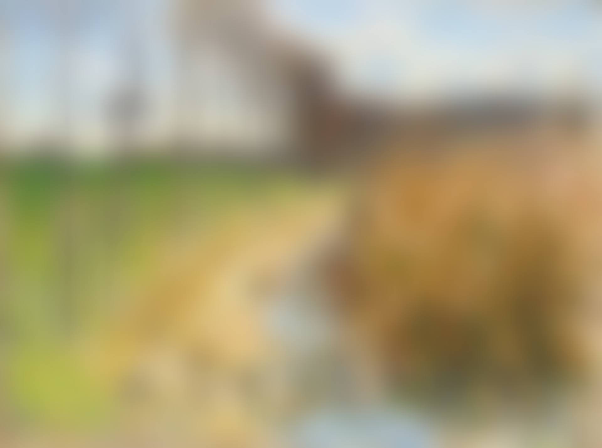 L'abreuvoir à Mizy sur Yonne (preview)