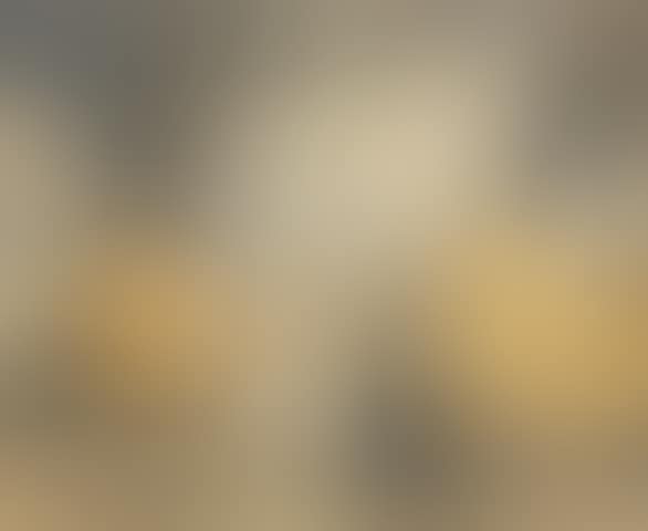 Hayricks (preview)