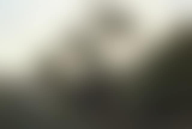 Janus (preview)