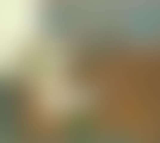 Nature morte (preview)