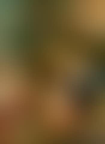 A study of the Holy family (preview)
