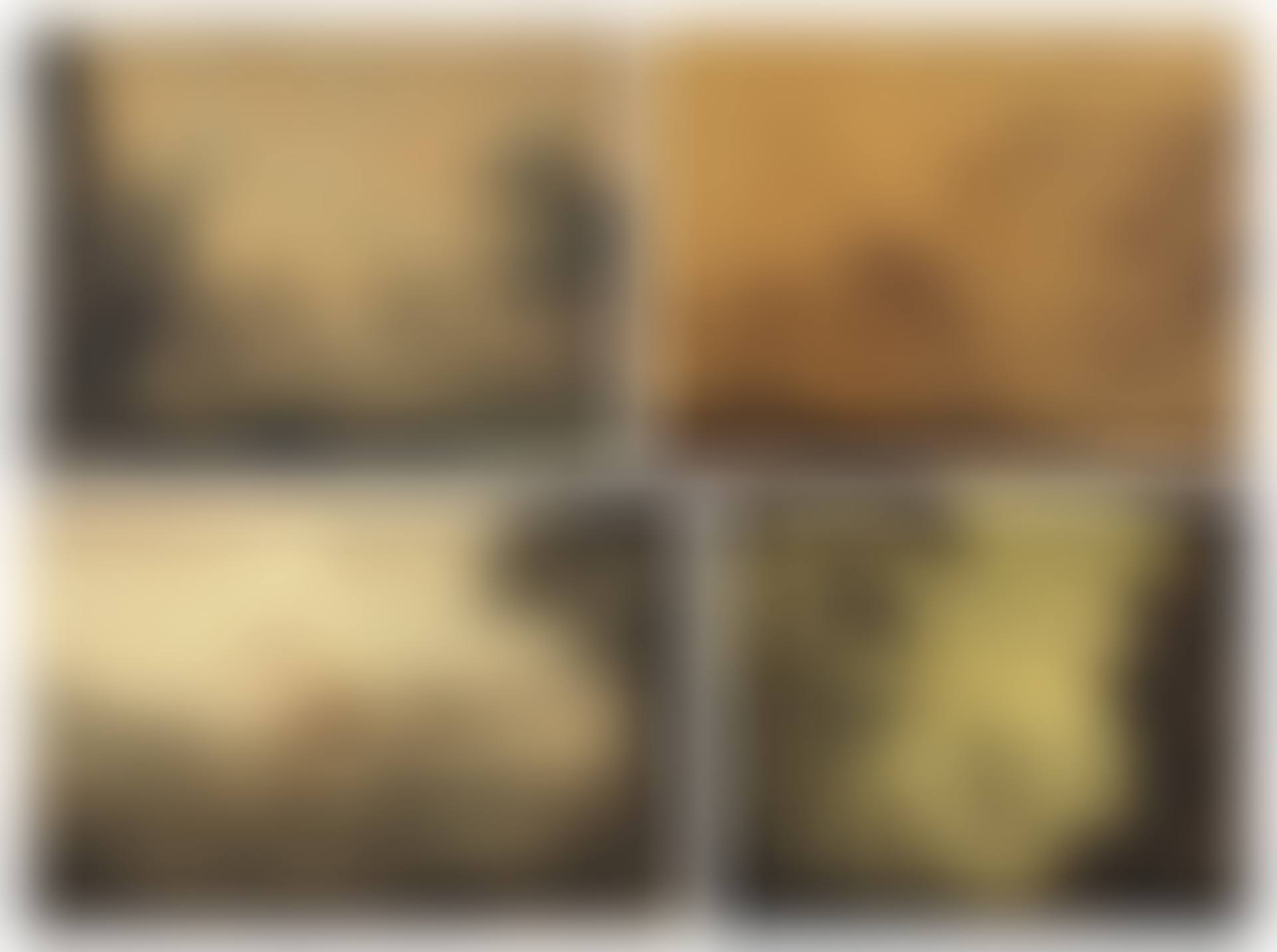 An album of drawings (preview)