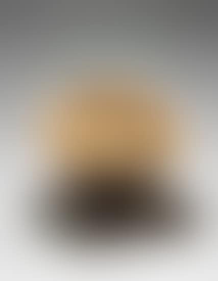 Oval with Two Forms (preview)