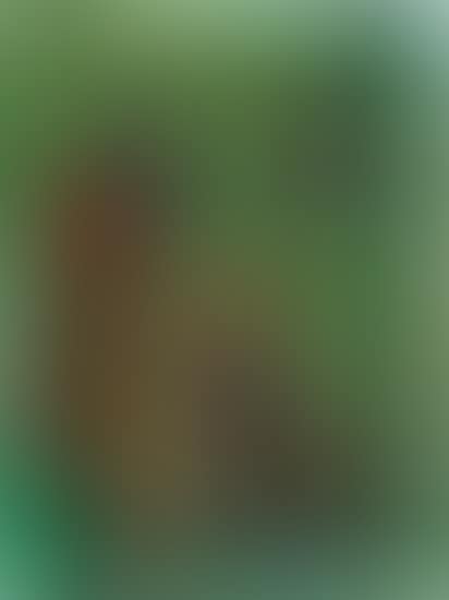 Soft Green Abstraction (preview)