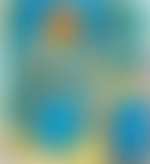 Bird as Buddha (preview)