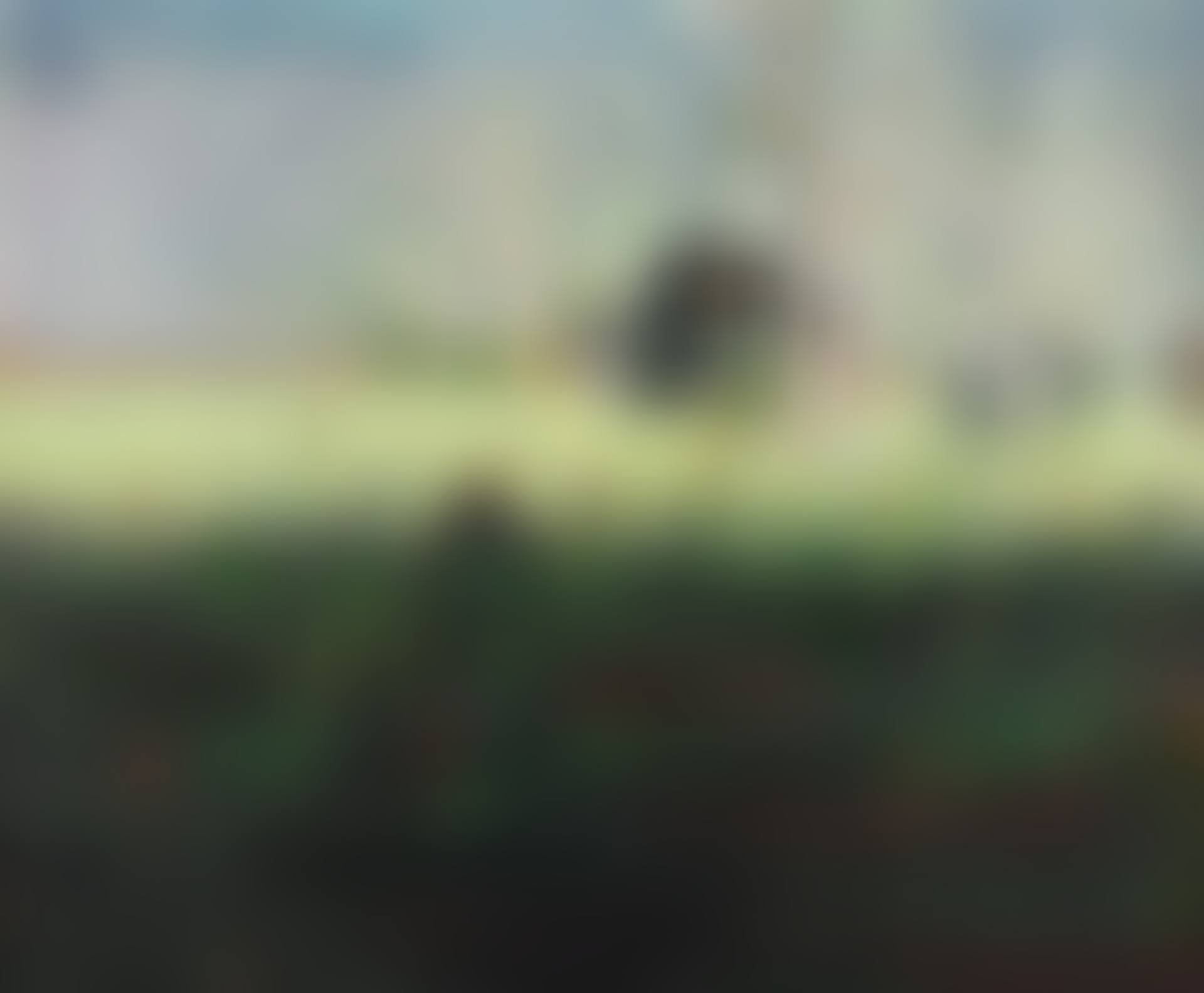 DAYTIME ASTRONOMY (GRASSHOPPER) (preview)